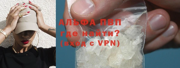apvp Каменка