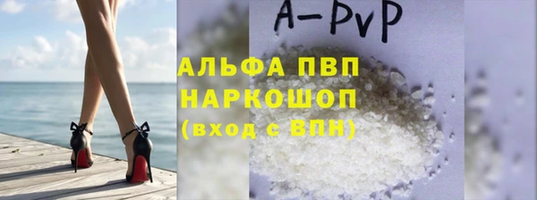 гашик Инта