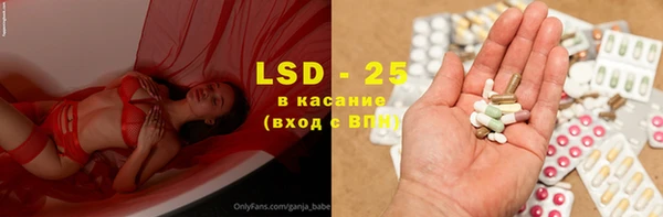 apvp Каменка