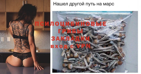 apvp Каменка