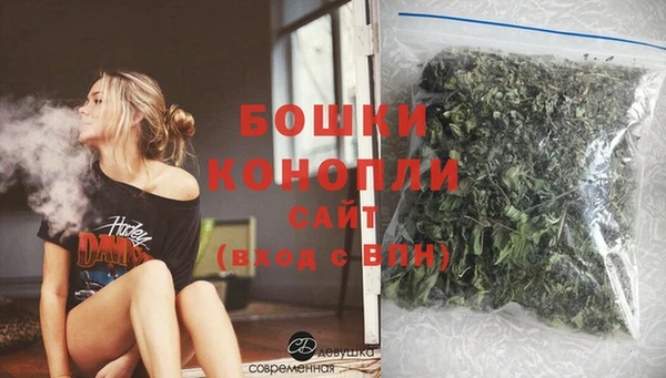 apvp Каменка