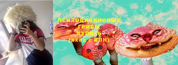 apvp Каменка