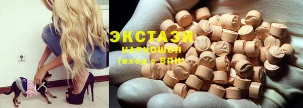 гашик Инта
