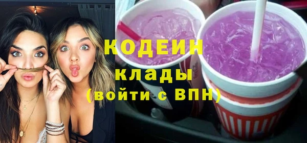apvp Каменка